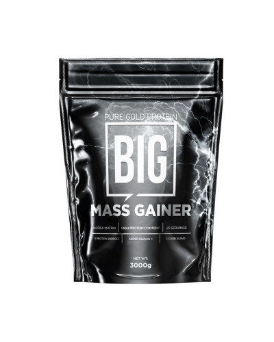 Гейнер, Big Mass Gainer - 3000g Chocolate