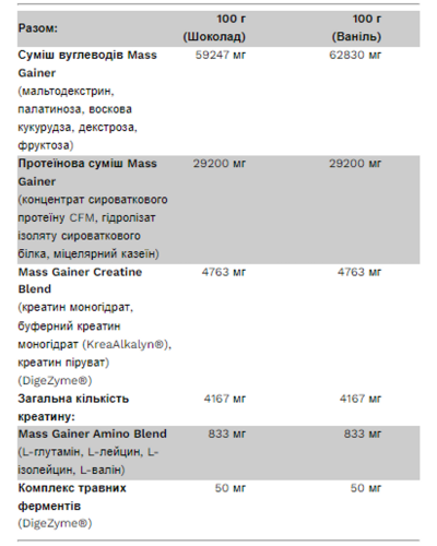 Гейнер, Big Mass Gainer - 3000g Chocolate