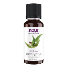 Eucalyptus Globulus Oil - 30ml (1fl.oz)