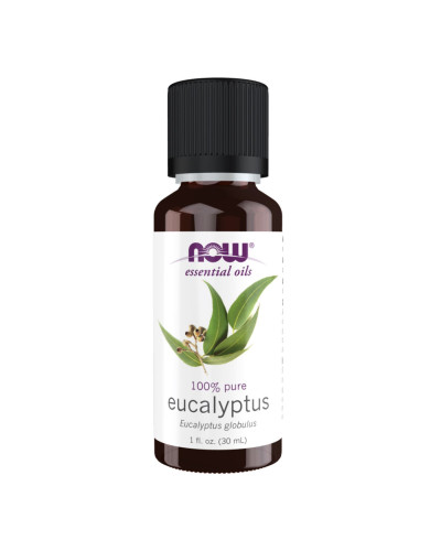 Eucalyptus Globulus Oil - 30ml (1fl.oz)
