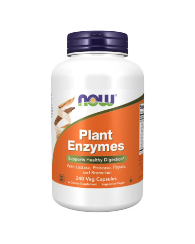 Plant Enzymes - 240 vcaps