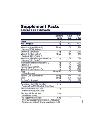 Focus-Saurus - 30 chewables Grape