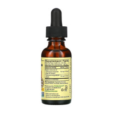 Рідка ехінацея, Echinacea Liquid Drops - 30ml
