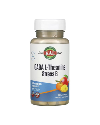 GABA L-Theanine Stress B - 100 lozenges