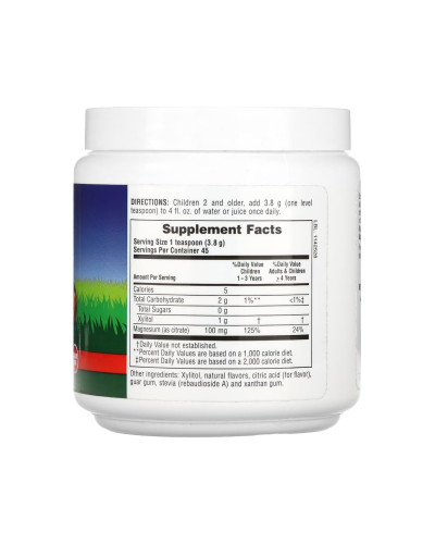 Магній для дітей, Animal Parade Kidz Powder - 171g