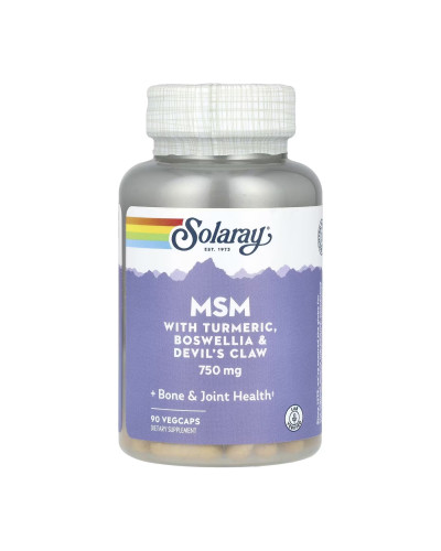 MSM 750mg - 90 cap