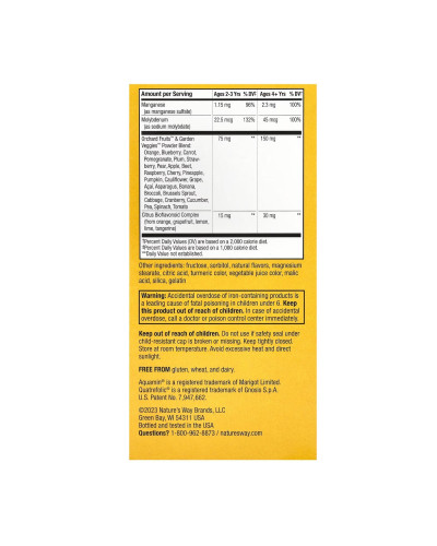 Мультивітаміни для дітей, Kids Chewable Multivitamin - 120 tabs Orange and Berry