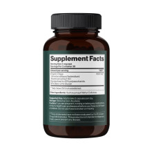 Чага, Chaga Mushroom 1000 mg - 60 vegcaps