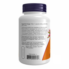 Холін і Інозитол 250 мг, CHOLINE & INOSITOL 250/250mg - 100 vcaps