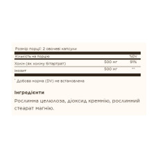 Холін і Інозитол, Choline/Inositol 500 mg/500 mg - 100 vcaps