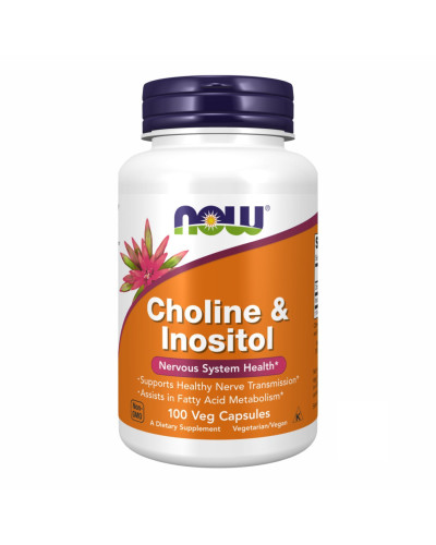 Холін і Інозитол 250 мг, CHOLINE & INOSITOL 250/250mg - 100 vcaps