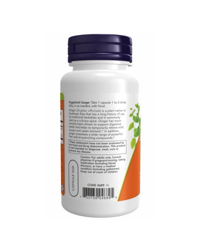 Ginger Root Extract 250mg - 90 vcaps