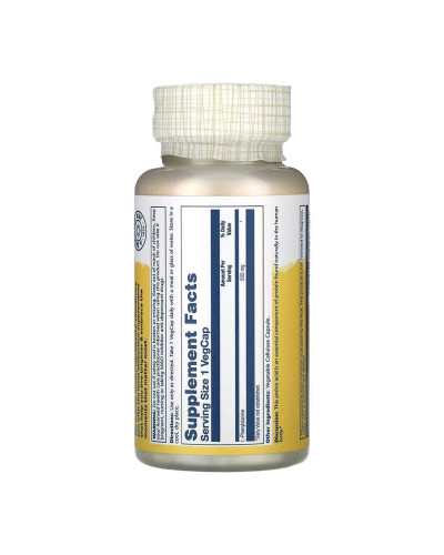 L-Phenylalanine 500mg - 60 vcaps