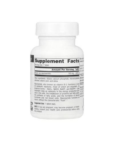 Niacinamide B-3 100 mg - 100 tabs