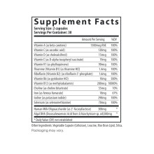 Postnatal Multivitamin Essentials with DHA - 60 caps