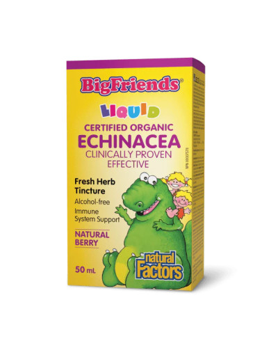 BigFriends Echinacea Alcohol-Free Fresh Herb Tincture for Kids - 50 ml