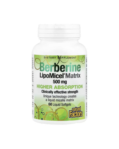 Berberine LipoMicel Matrix - 60 softgels
