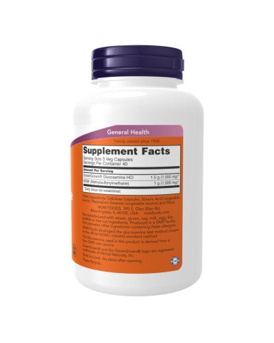 Вегетаріанський комплекс з Глюкозаміном та МСМ, Veg Glucosamine & MSM 500/500 - 120 vcaps