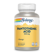 Пантотенова кислота, Pantothenic Acid 500mg - 100 veg caps