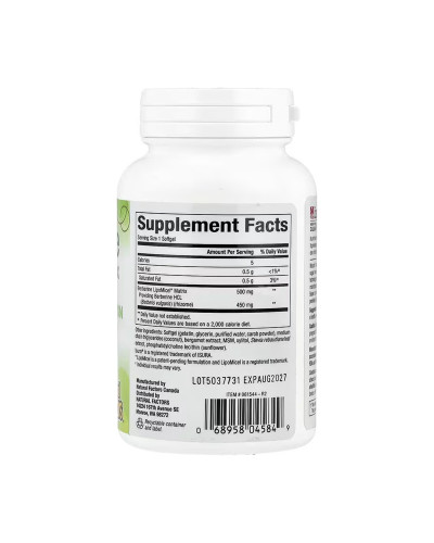 Berberine LipoMicel Matrix - 60 softgels