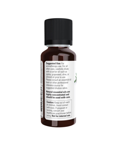 Spike Lavender Oil - 30ml (1fl.oz)
