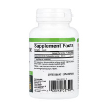 Lactase Enzyme - 60 caps