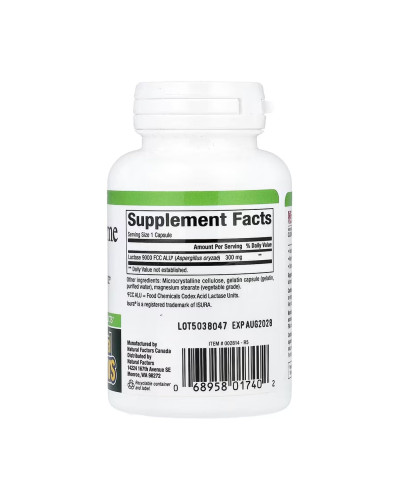 Lactase Enzyme - 60 caps