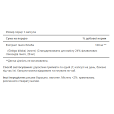 Гінкго Білоба, Ginkgo Biloba Standardized Extract 120mg - 100caps