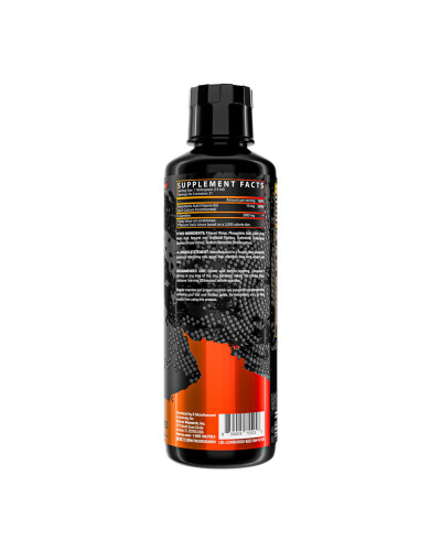Liquid L-Carnitine 3000 - 480ml Orange Mango