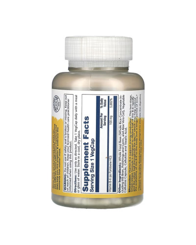 Vitamin B-6 100mg - 120 vcaps