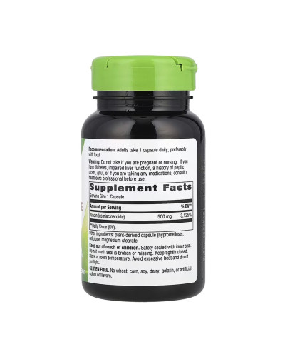 Niacinamide 500 mg - 100 caps