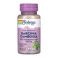 Гарцинія, Garcinia Cambogia Fruit Ext 500mg - 60 veg caps