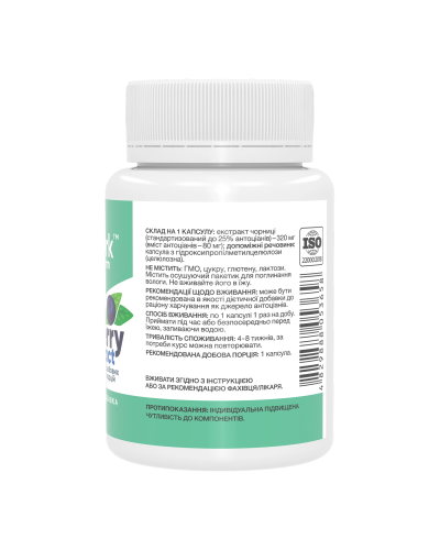 Bilberry Extract 320mg - 60 caps