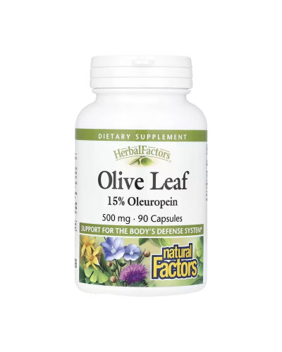 Olive Leaf 500mg - 90 caps