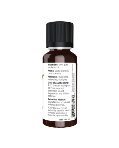 Eucalyptus Globulus Oil - 59ml (2oz)