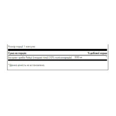 Гриб Рейші, Reishi Mushroom Extract Standardized 500mg - 90 caps