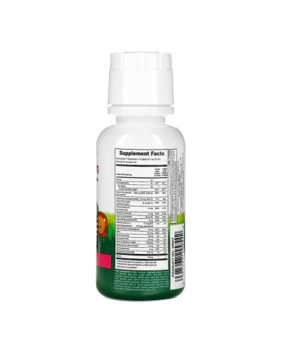 Дитячі мультивітаміни, Animal Parade Multivitamin Liquid - 236.56 ml Tropical Berry