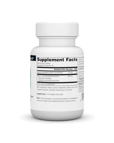 Bilberry Extract 100 mg - 30 tabs
