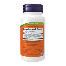 Екстракт куркуміну, Turmeric Curcumin - 60 vcaps