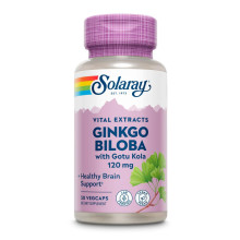 Екстракт Гінкго Білоба, Ginkgo Biloba Extract One 120mg - 30 vcaps