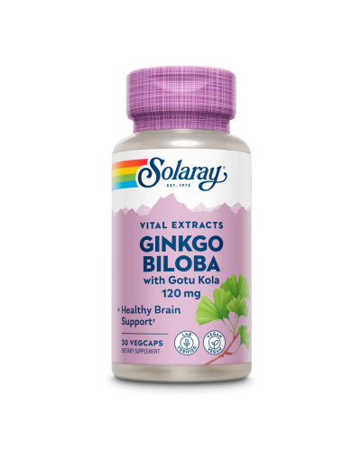 Екстракт Гінкго Білоба, Ginkgo Biloba Extract One 120mg - 30 vcaps