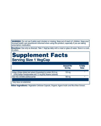 Екстракт Гінкго Білоба, Ginkgo Biloba Extract One 120mg - 30 vcaps