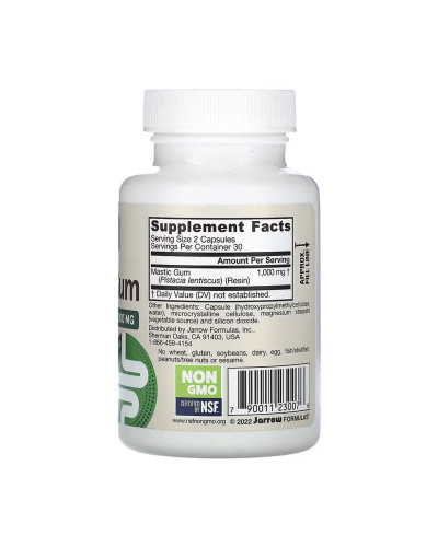 Мастикова смола, Mastic Gum 1000mg - 60 vcaps