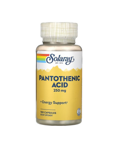 Pantothenic Acid 250mg - 100 caps