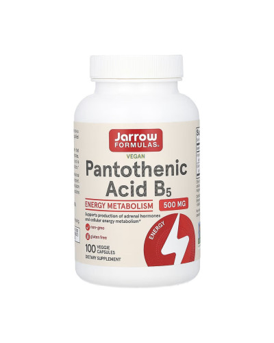 Пантотенова кислота, Pantothenic Acid 500mg - 100 vcaps